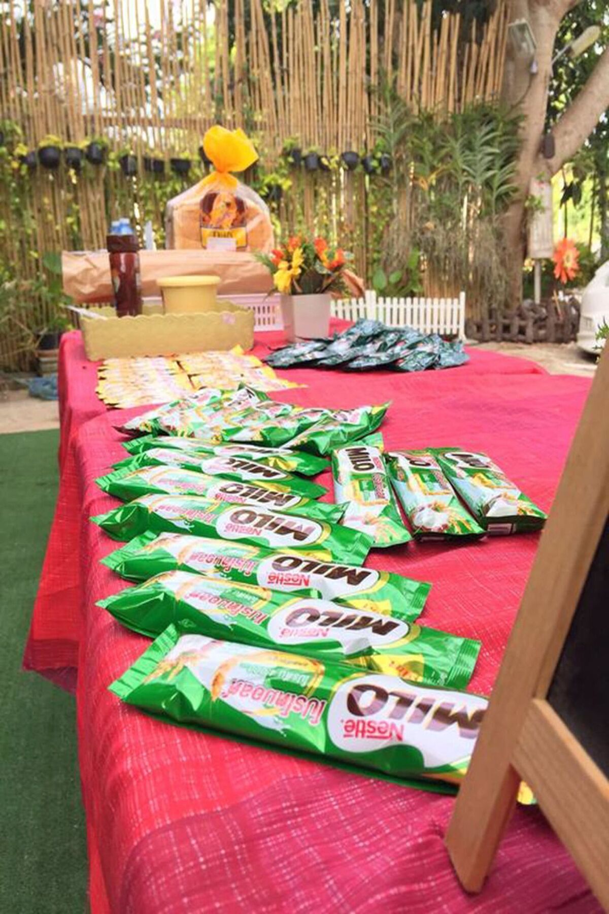 Bambusa Nakhon Ratchasima Bagian luar foto